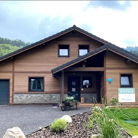 Chalet Cosy 4 Etoiles Le Domaine Des Mesanges Plainfaing Esterno foto